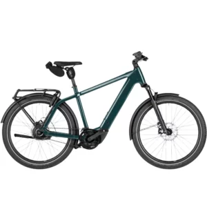 Charger5 rohloff <br> Classique & Mixte <br> Riese & Müller <br> Vélo électrique