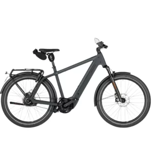 Charger5 vario HS <br> Classique & Mixte <br> Riese & Müller <br> Vélo électrique