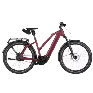 Charger5 automatic <br> Classique & Mixte <br> Riese & Müller <br> Vélo électrique