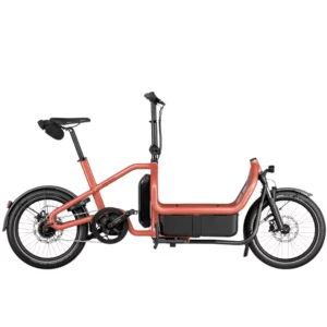 Carrie2 city <br/> Riese & Müller </br> Vélo cargo électrique