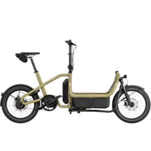 Carrie2 vario <br/> Riese & Müller </br> Vélo cargo électrique