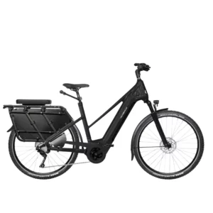 SEB 890 PRO CARGO <br> Vélo De Ville <br> Vélo longtail électrique
