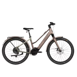 iRide Pure X10 2026 <br/> Winora <span class="categorie_produit"></br>Vélo électrique</span>